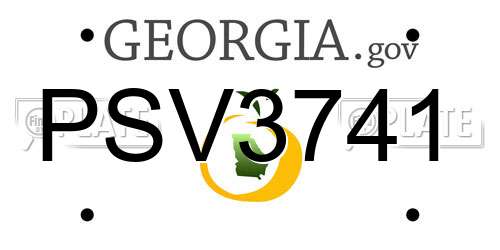 PSV3741 Georgia License Plate