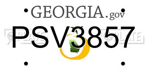 PSV3857 Georgia License Plate
