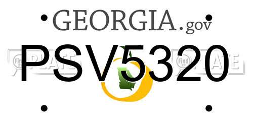 PSV5320 Georgia License Plate