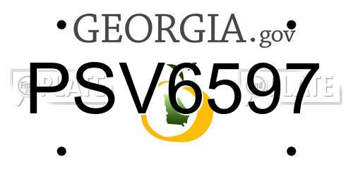 PSV6597 Georgia License Plate