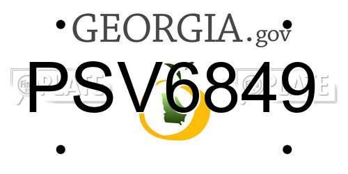 PSV6849 Georgia License Plate
