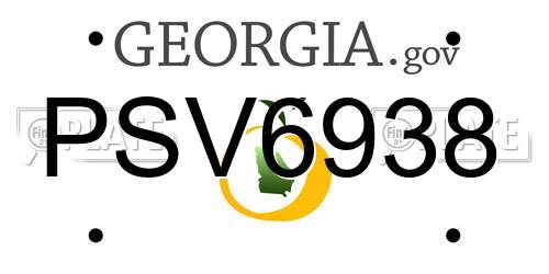 PSV6938 Georgia License Plate