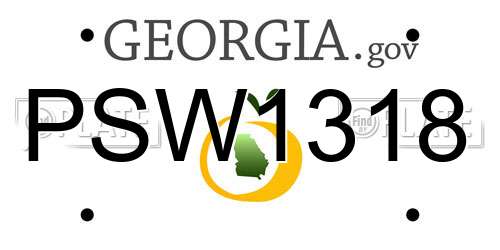 PSW1318 Georgia License Plate