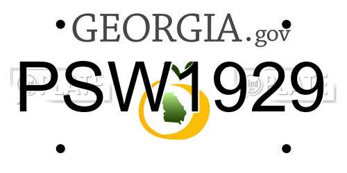 PSW1929 Georgia License Plate