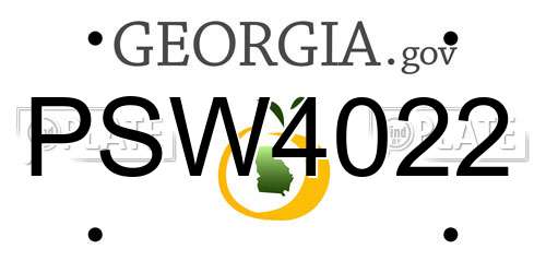 PSW4022 Georgia License Plate