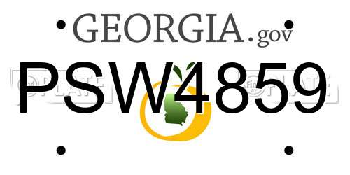 PSW4859 Georgia License Plate