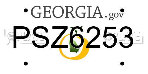 PSZ6253 Georgia License Plate