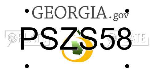 PSZS58 Georgia License Plate