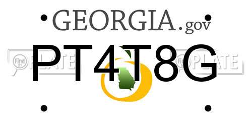 PT4T8G Georgia License Plate