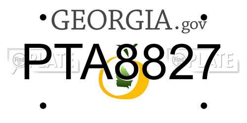 PTA8827 Georgia License Plate