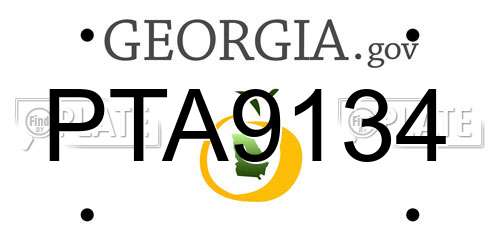 PTA9134 Georgia License Plate