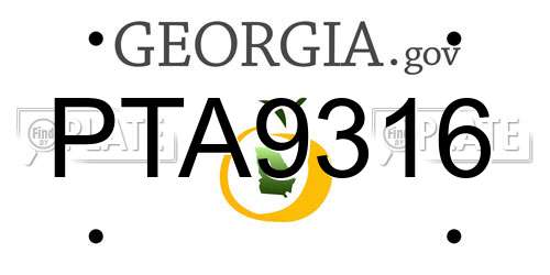 PTA9316 Georgia License Plate