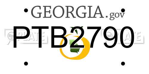 PTB2790 Georgia License Plate