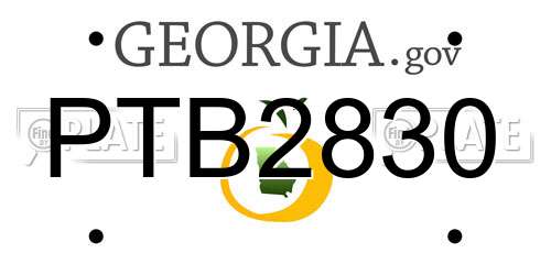 PTB2830 Georgia License Plate