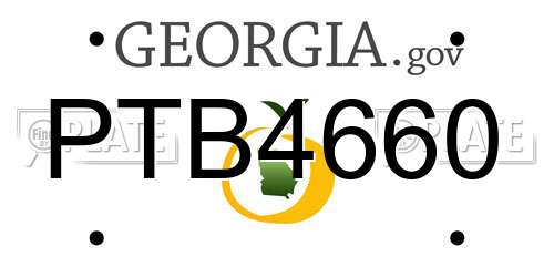 PTB4660 Georgia License Plate