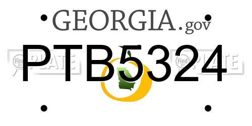 PTB5324 Georgia License Plate