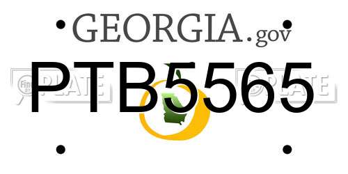 PTB5565 Georgia License Plate