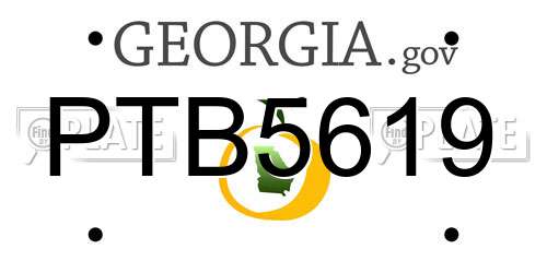 PTB5619 Georgia License Plate