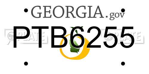 PTB6255 Georgia License Plate