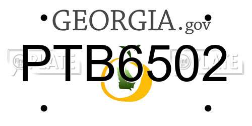 PTB6502 Georgia License Plate