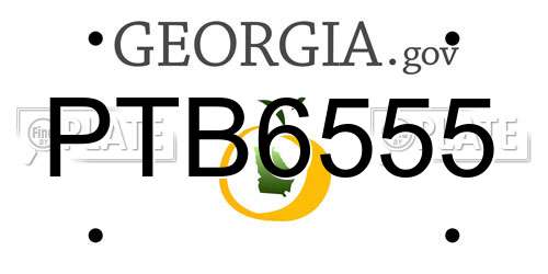 PTB6555 Georgia License Plate