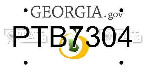PTB7304 Georgia License Plate