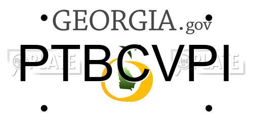 PTBCVPI Georgia License Plate