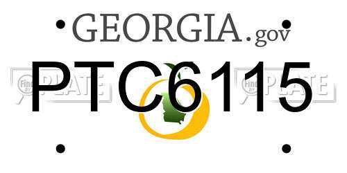 PTC6115 Georgia License Plate