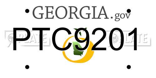 PTC9201 Georgia License Plate