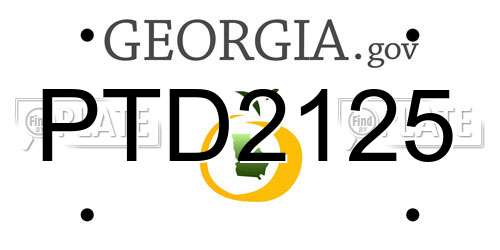 PTD2125 Georgia License Plate