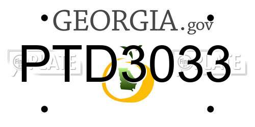 PTD3033 Georgia License Plate