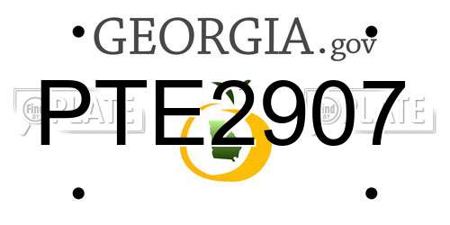 PTE2907 Georgia License Plate