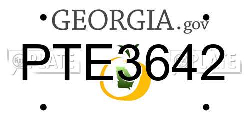 PTE3642 Georgia License Plate