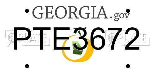 PTE3672 Georgia License Plate