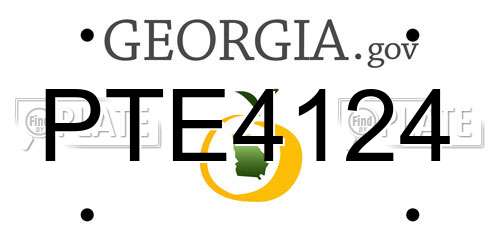 PTE4124 Georgia License Plate