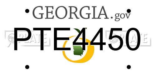 PTE4450 Georgia License Plate