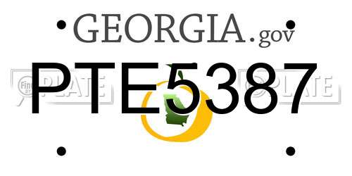 PTE5387 Georgia License Plate