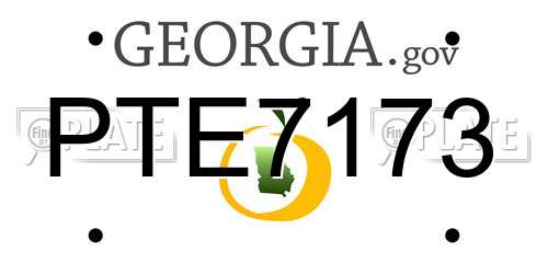 PTE7173 Georgia License Plate