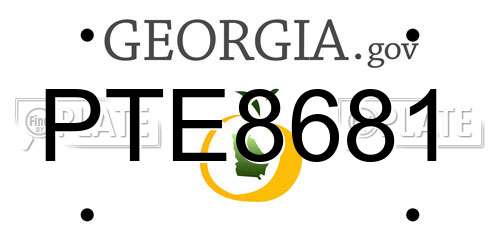 PTE8681 Georgia License Plate