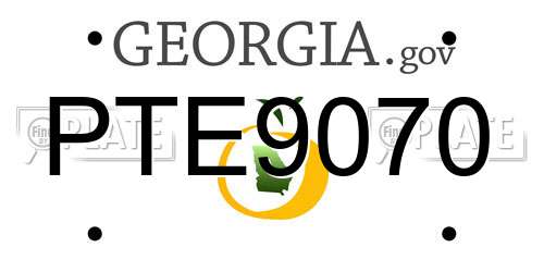 PTE9070 Georgia License Plate