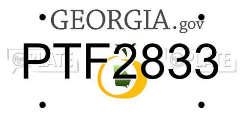 PTF2833 Georgia License Plate