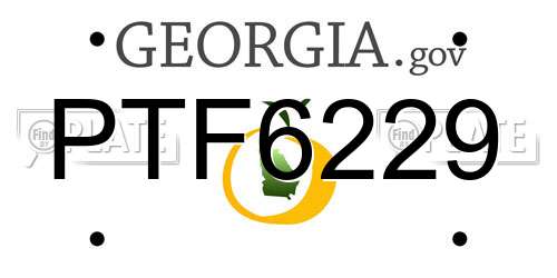 PTF6229 Georgia License Plate