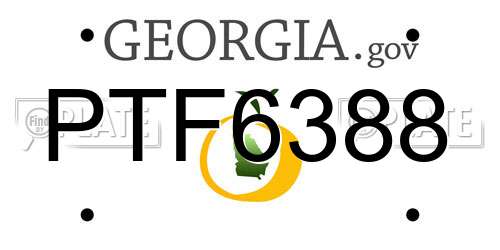 PTF6388 Georgia License Plate
