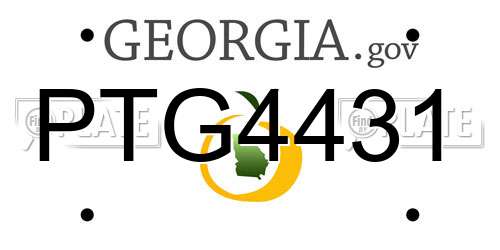 PTG4431 Georgia License Plate