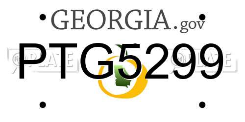 PTG5299 Georgia License Plate