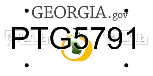 PTG5791 Georgia License Plate
