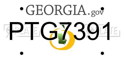 PTG7391 Georgia License Plate
