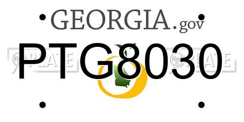 PTG8030 Georgia License Plate