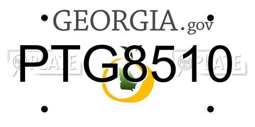 PTG8510 Georgia License Plate
