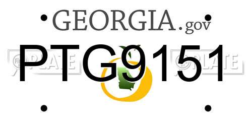 PTG9151 Georgia License Plate